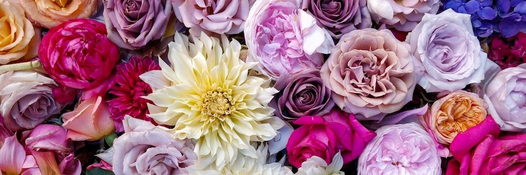 mfrench812's profile banner image