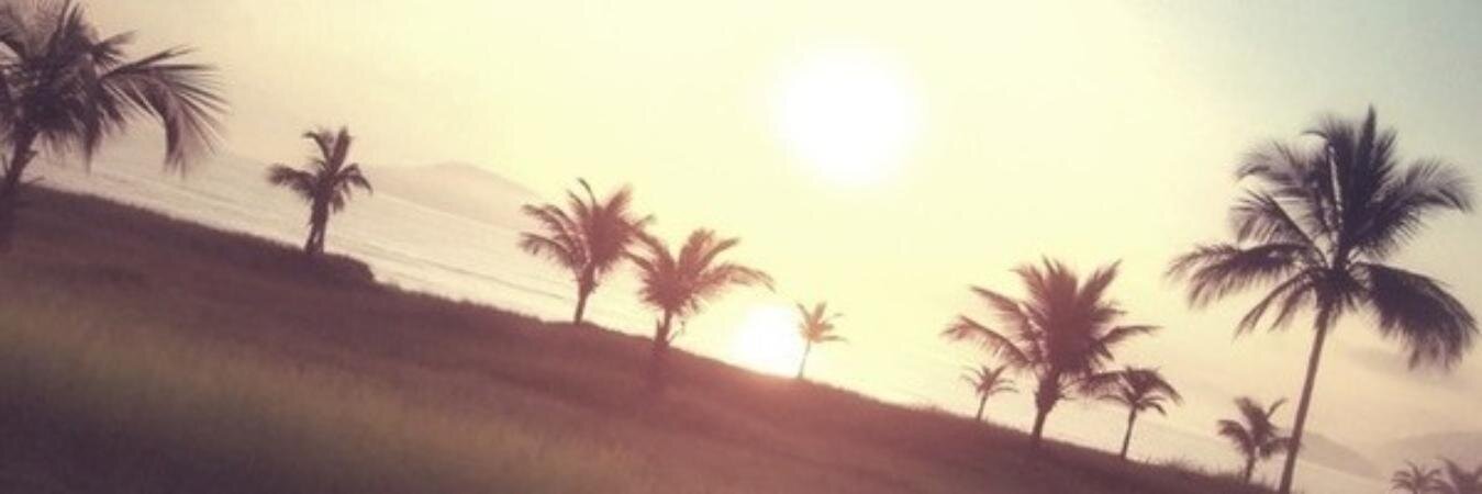 camirdp's profile banner image