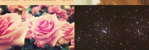 FlowerMinette's profile banner image