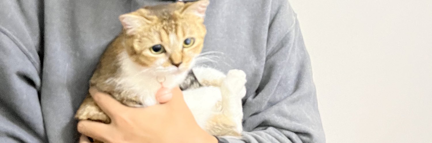 koopykute's profile banner image