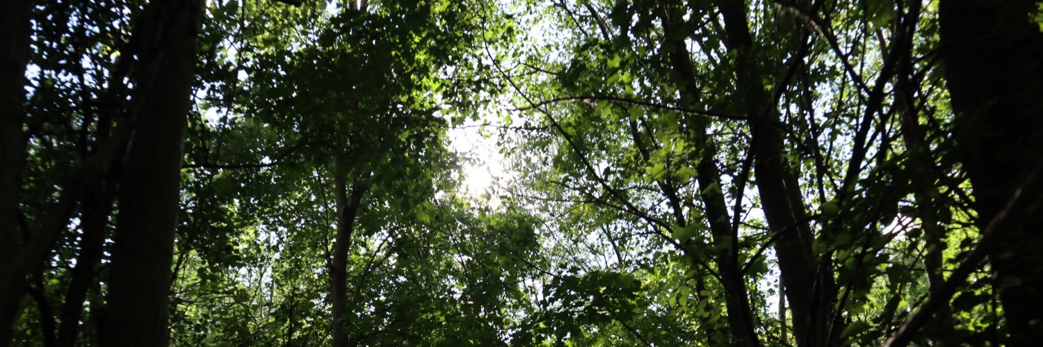 Danlie Rae Acebuque banner