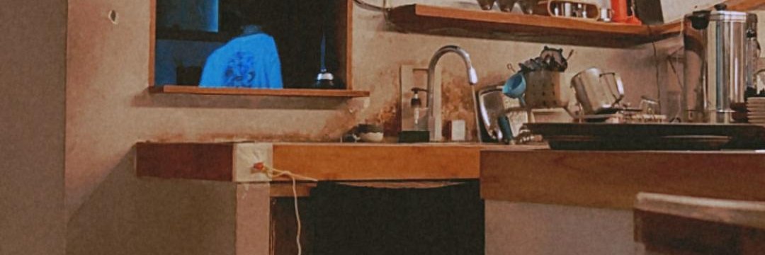 sehanidruz's profile banner image