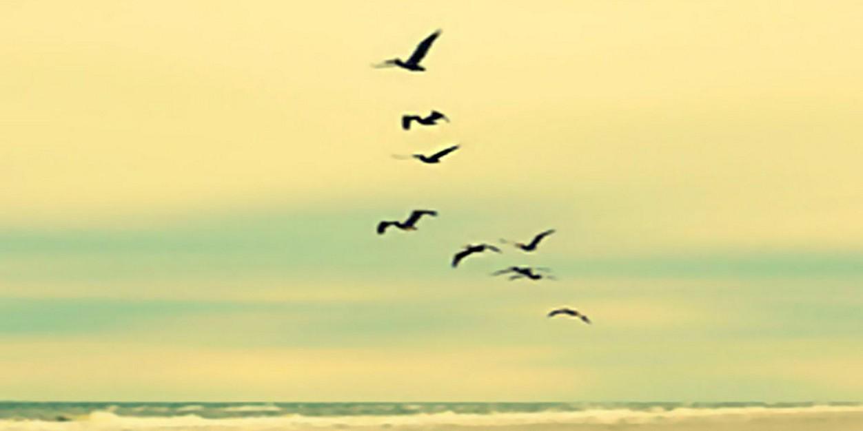 Evelugp's profile banner image