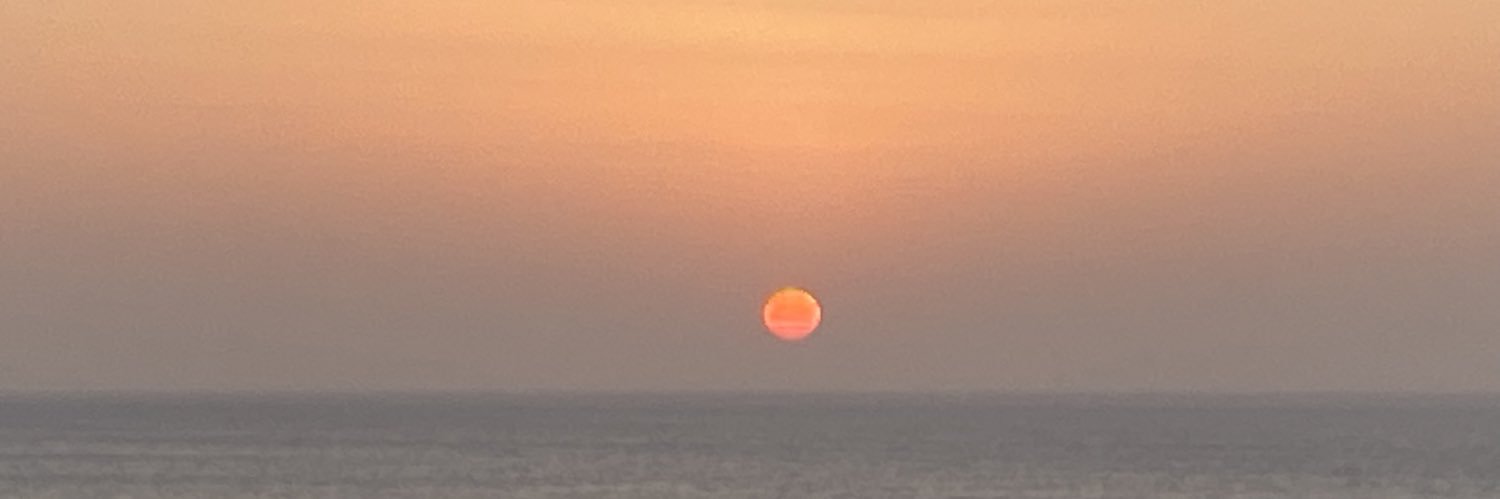 loanewallon's profile banner image