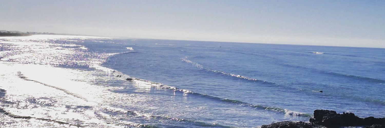 warena1's profile banner image