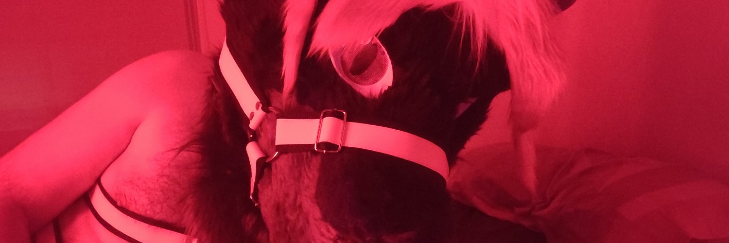 DrouinsAD's profile banner image