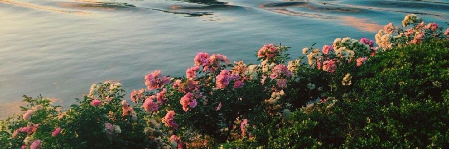 Fahadd_38's profile banner image