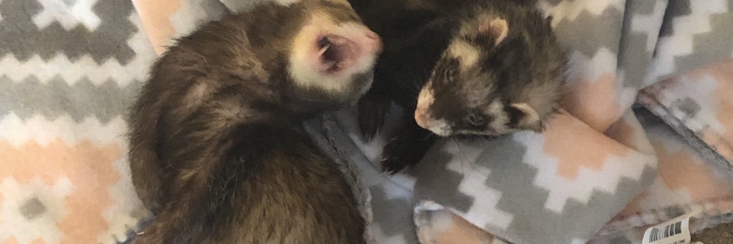 🇺🇦✨Julie Kay✨🇺🇸 banner