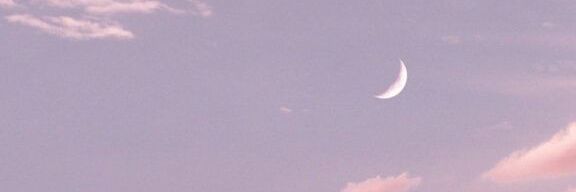 MissSilvermist's profile banner image