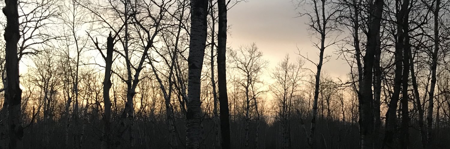 MorganBicker96's profile banner image