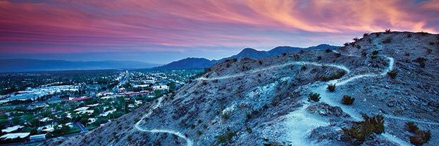 Mikeluna_'s profile banner image