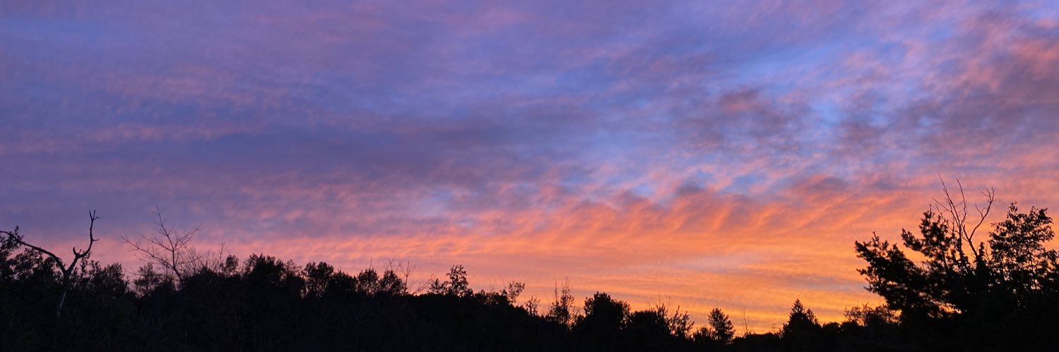 arielleWhitaker's profile banner image
