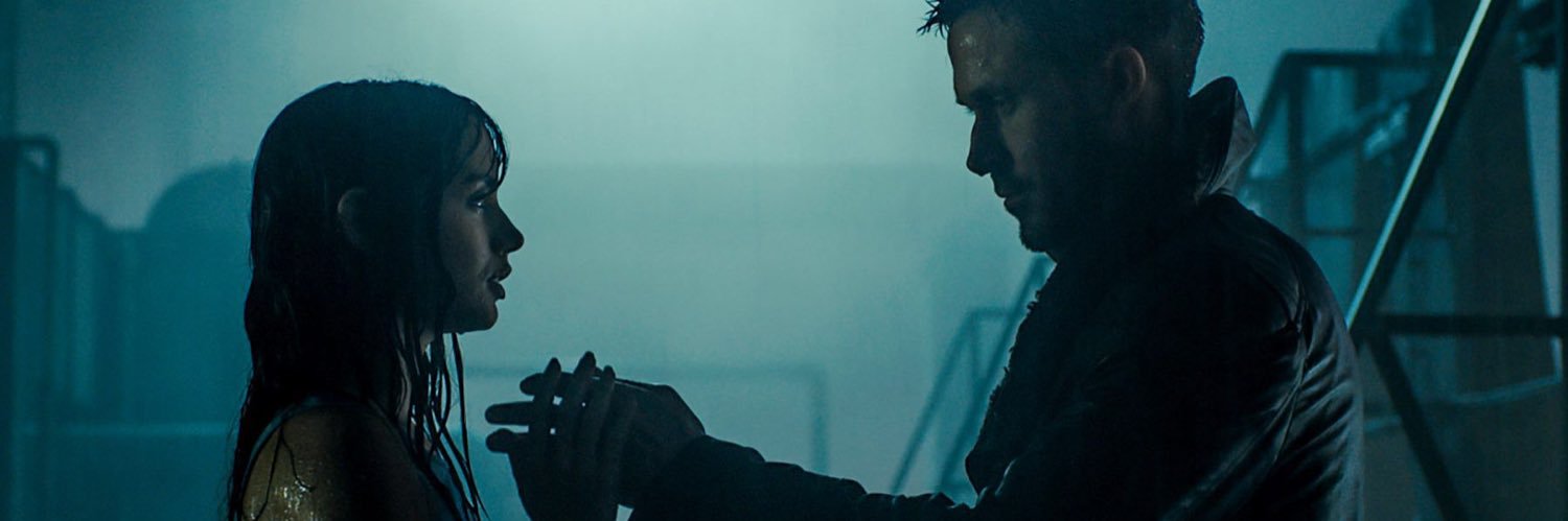 CatMcc97's profile banner image
