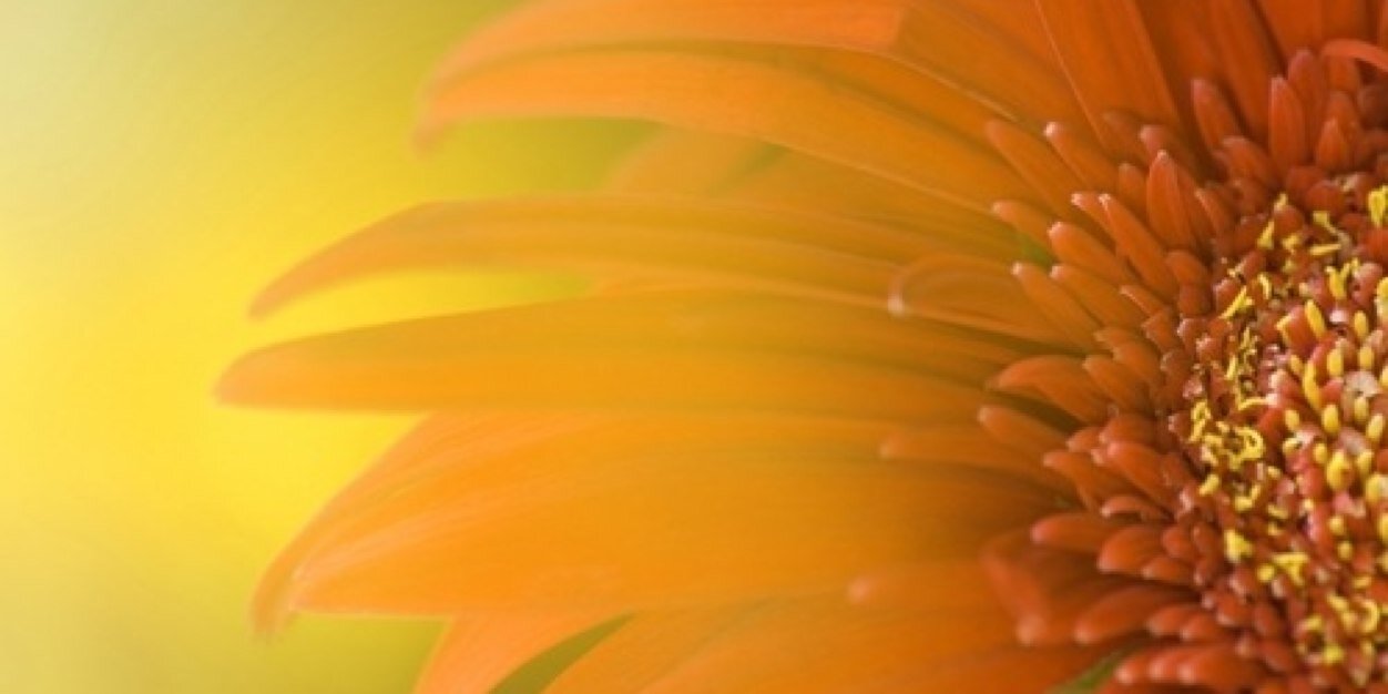 _kenzix's profile banner image