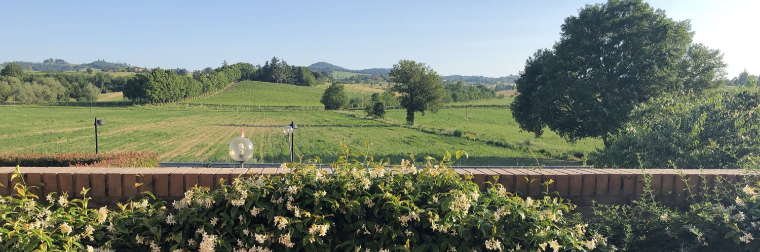 amiluccio's profile banner image