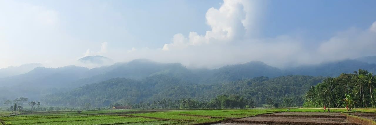 anabul banner