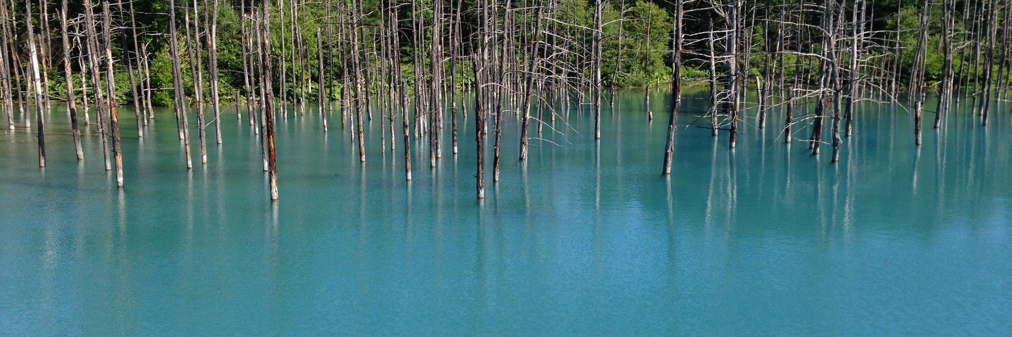 funahasi_masahiro banner