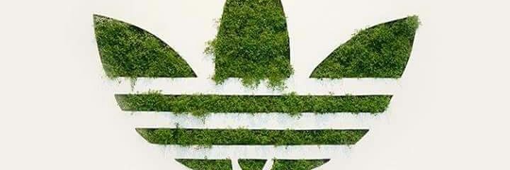 Gared_barreiro's profile banner image