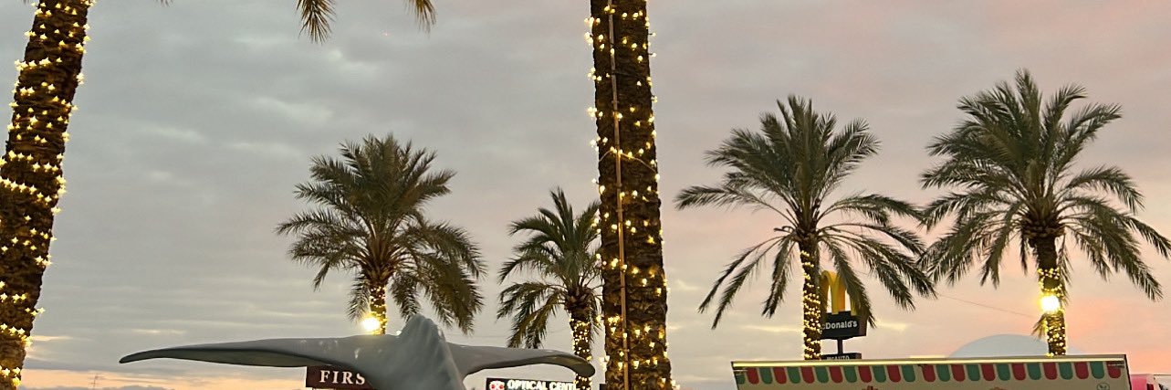 Alexandra Moscarelli banner