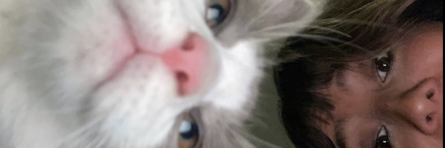 catahk's profile banner image