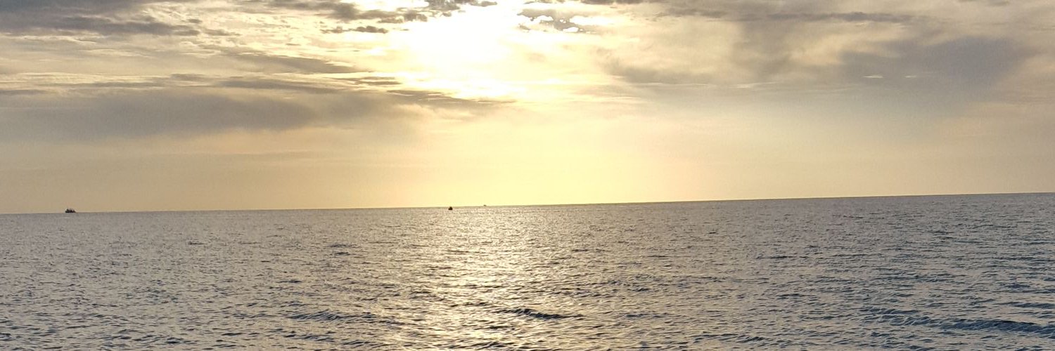 MariellSticazzi's profile banner image