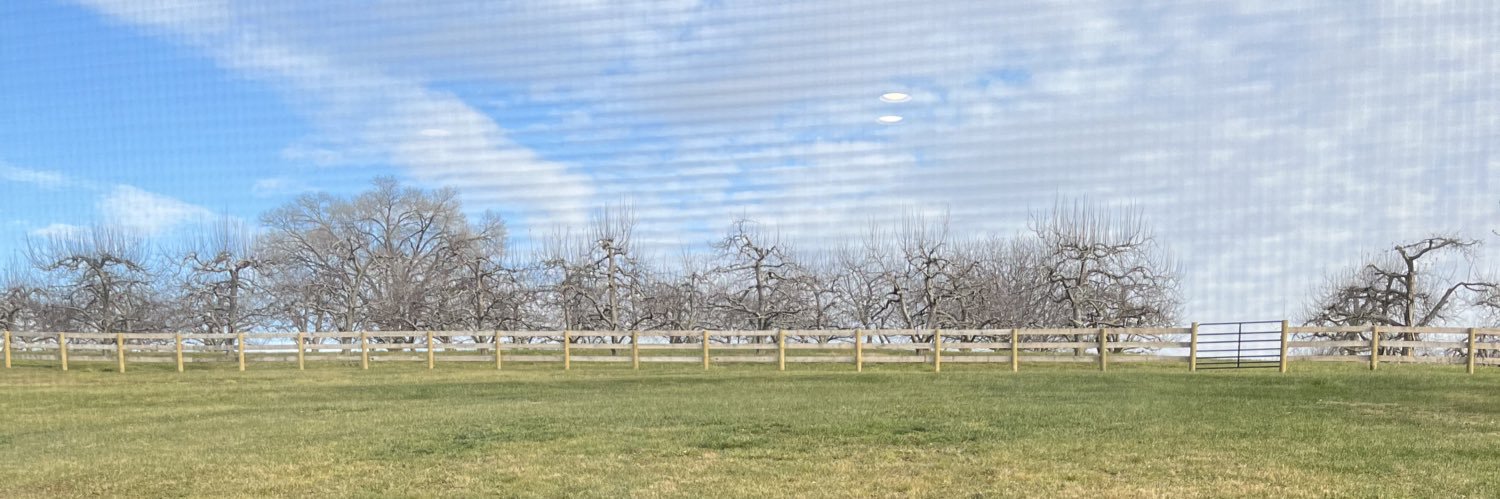 William “Bee” Stribling banner