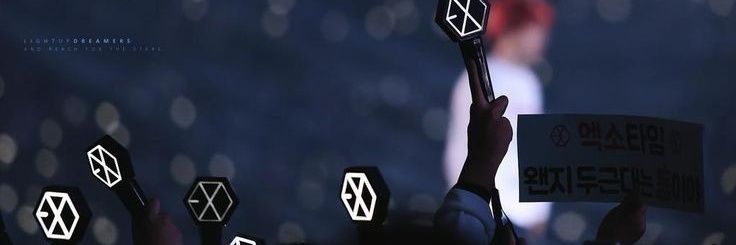 Rousse_Lyn's profile banner image
