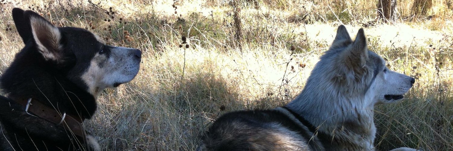 CristoGarMed's profile banner image