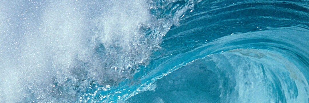 Gabriel Clemente banner