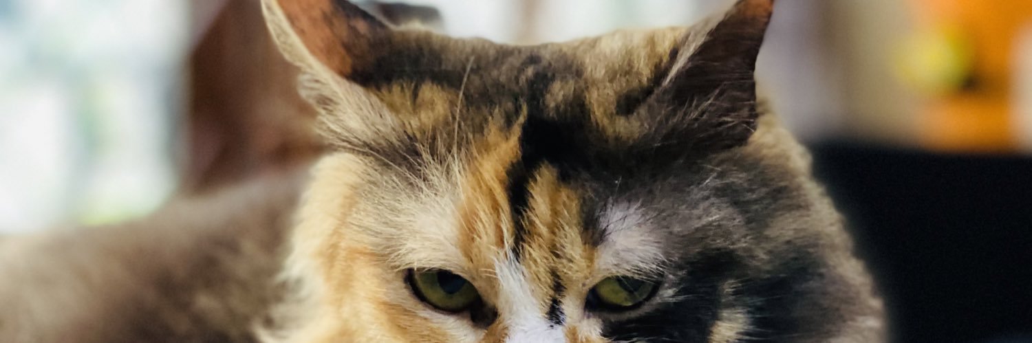 thebarazky's profile banner image