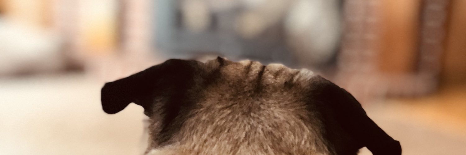 bindyruption's profile banner image