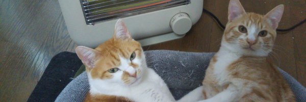 Ai79May Profile Banner