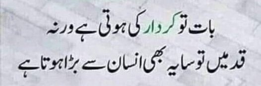 🇵🇰 Shahid Ali banner