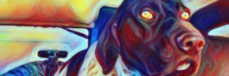 trevort_3's profile banner image