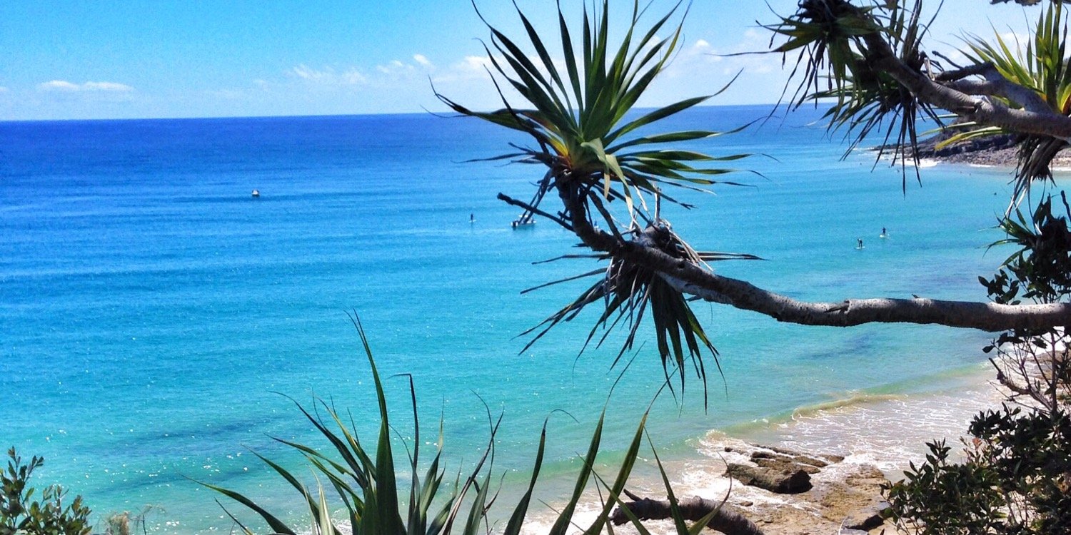 💧David maycraft🩸🌱 banner