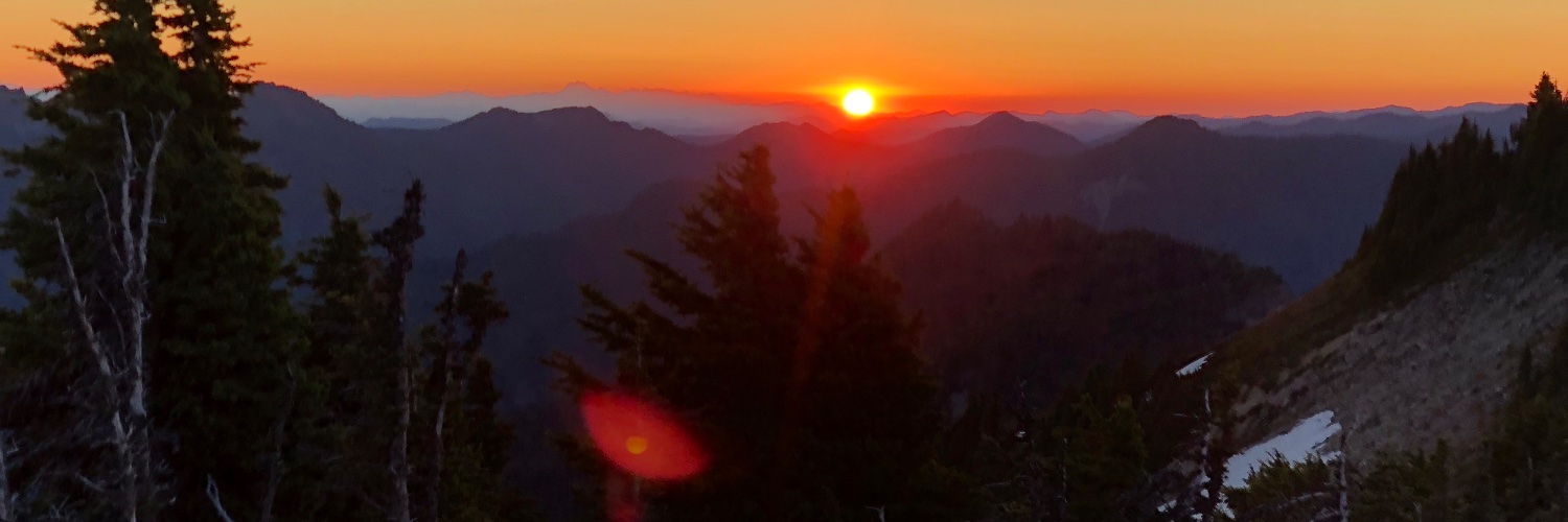 sarvysheikh's profile banner image