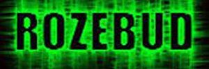 rozebudcaps's profile banner image