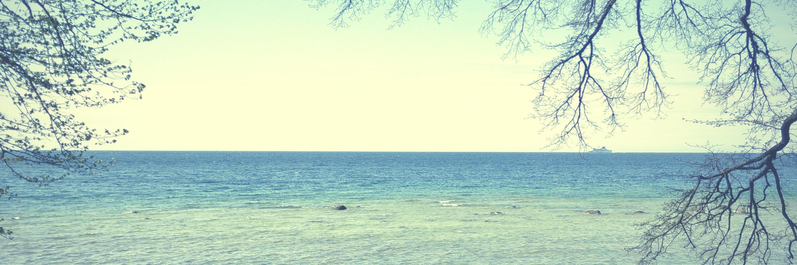 _fwal's profile banner image
