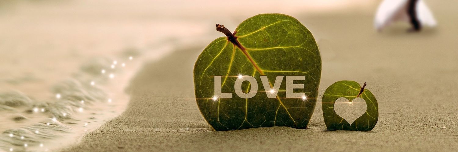 Zakir2p's profile banner image