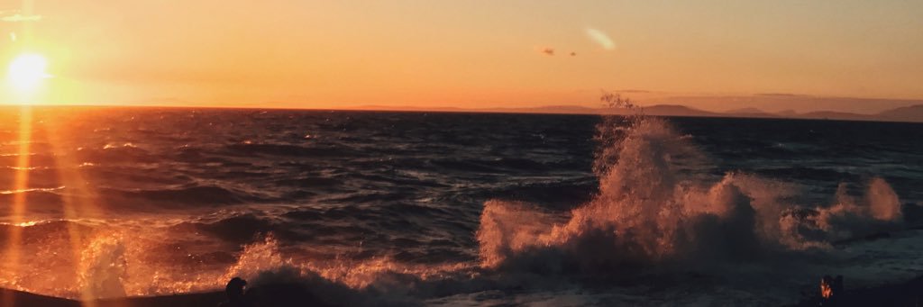 DustiShea's profile banner image