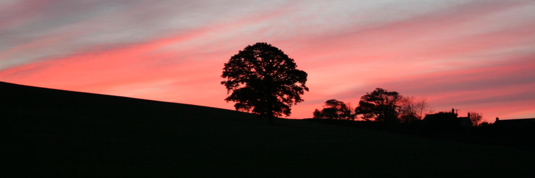 Benedict Lintott banner