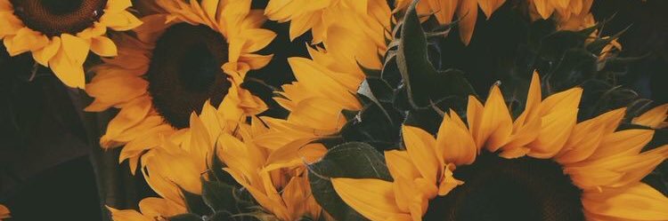 karla_cantuu's profile banner image