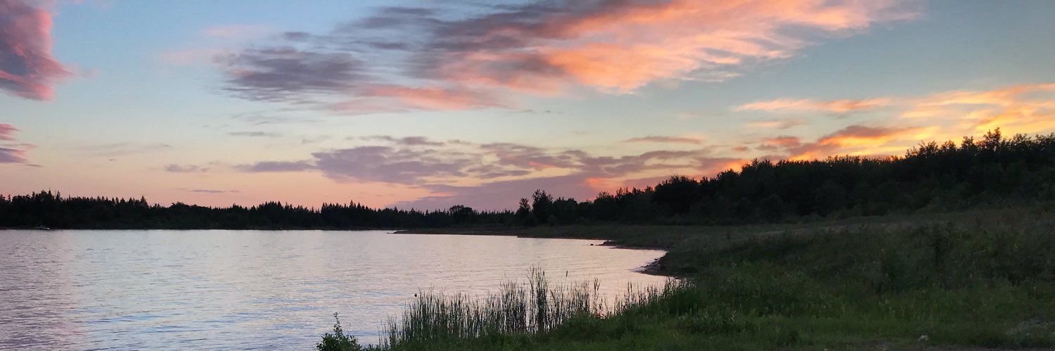 alanathera's profile banner image