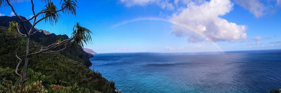 Kye 'K' Chung banner