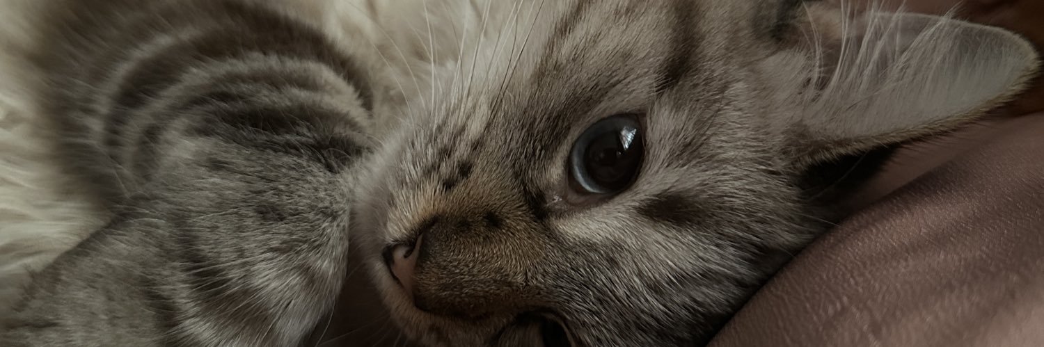 hsotog6's profile banner image