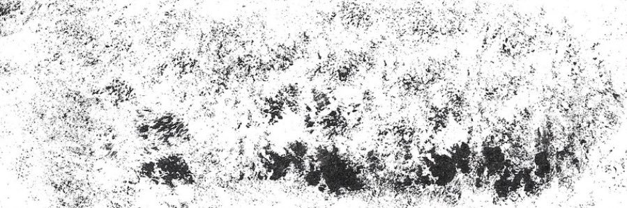 genuinley curious banner