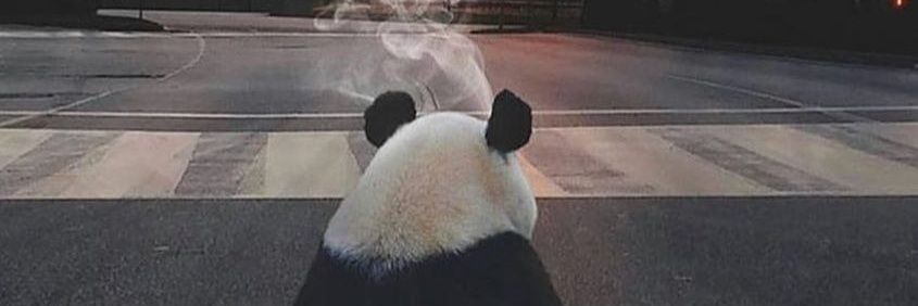 Kalindawalo_'s profile banner image
