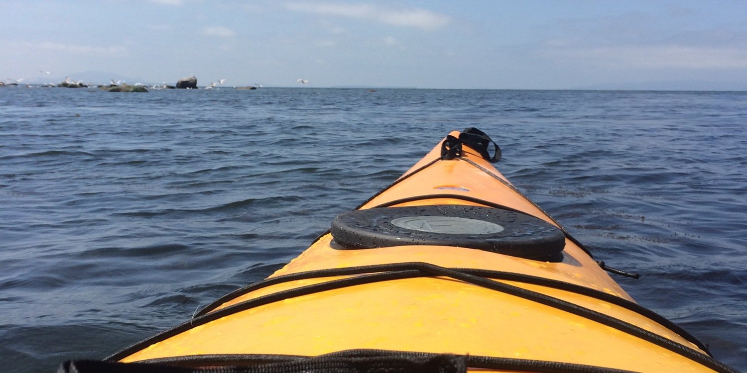 Graeme Fraser banner