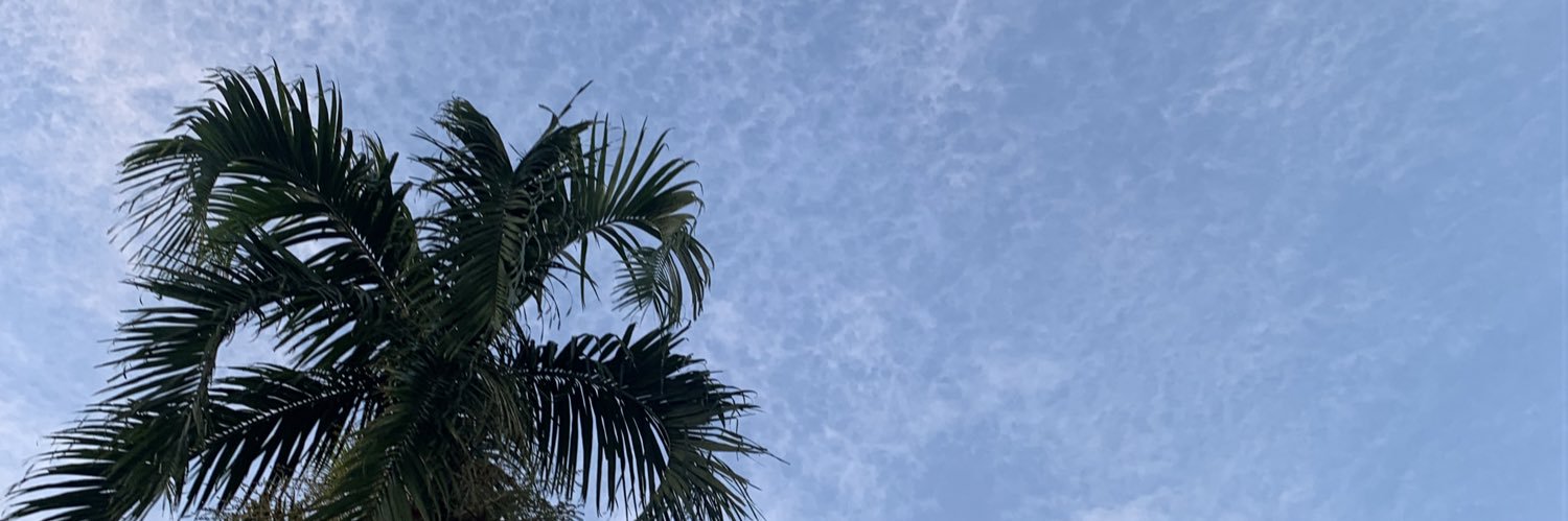 _simoun's profile banner image