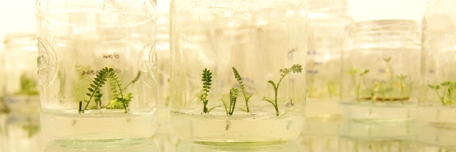 CiB Centro de Informação de Biotecnologia Portugal banner